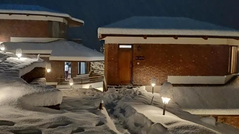 キングサイズベッドのスタンダードルーム, Casa Himalaya, Auli