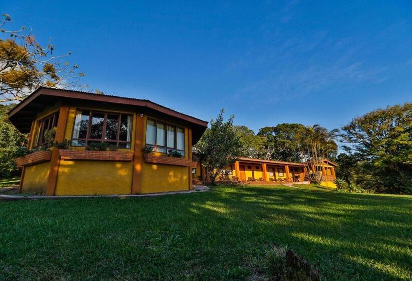 Apartamento 1 Dormitório, Sunset Monteverde