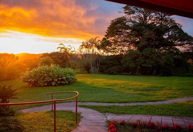 Apartamento 1 Dormitório Vista Mar, Sunset Monteverde