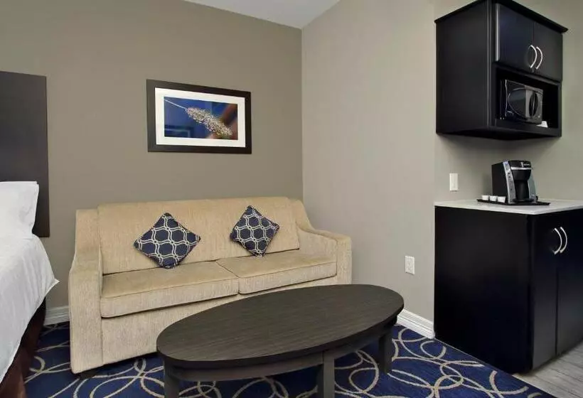スイート, Holiday Inn Express And Suites Houston North   Iah Area, An Ihg