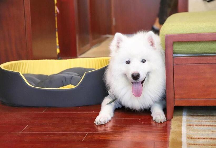 Стандартный Номер Кровать Кинг, Holiday Inn Resort Chaohu Hot Spring, An Ihg