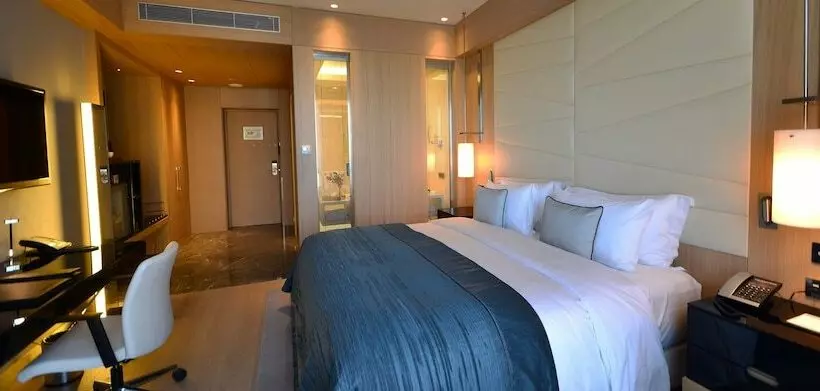 片側に海が見えるデラックスルーム, Wyndham Grand Istanbul Levent Hotel & Conference Center