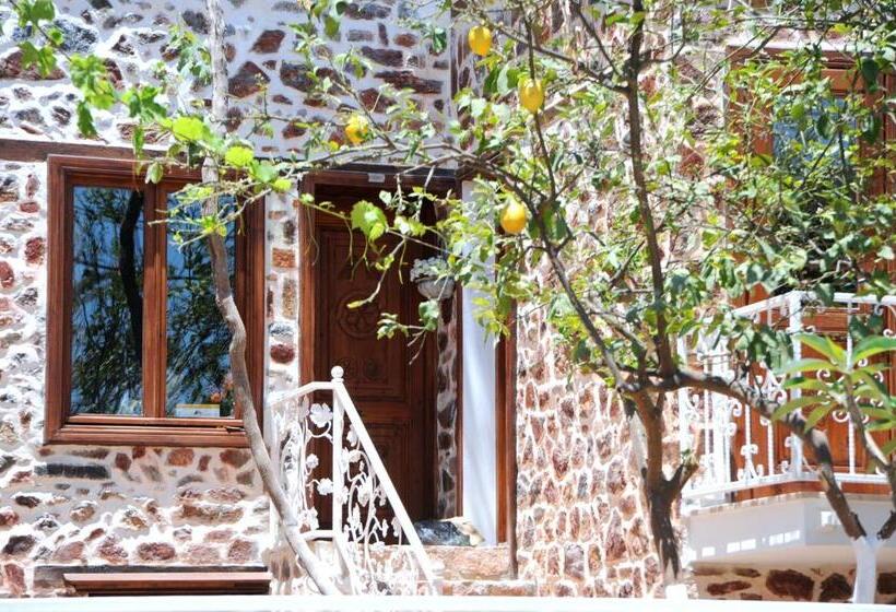 اتاق استاندارد, Lemon Villa Hotel Adult Only