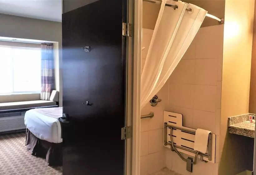 身障者適用スタンダードルーム, Microtel Inn And Suites Pecos