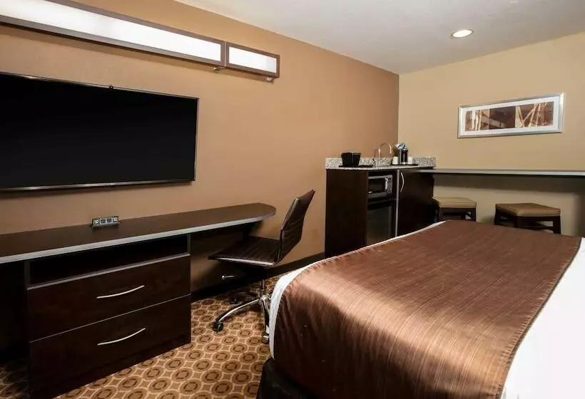身障者適用スタンダードルーム, Microtel Inn And Suites Pecos