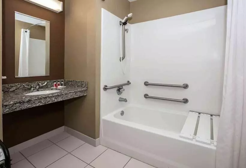 身障者適用スイートルーム, Microtel Inn And Suites Pecos