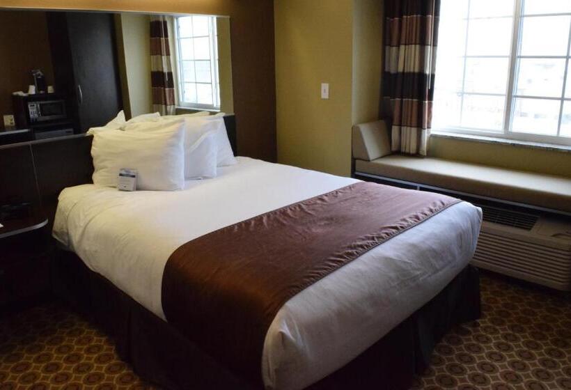 适合残疾人使用的标准间, Microtel Inn And Suites Pecos