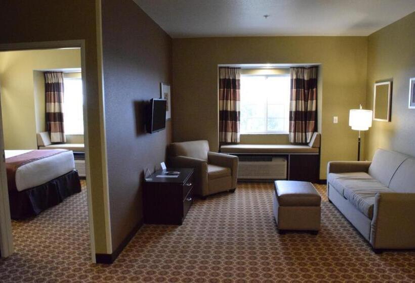 适合残疾人士使用的套间, Microtel Inn And Suites Pecos