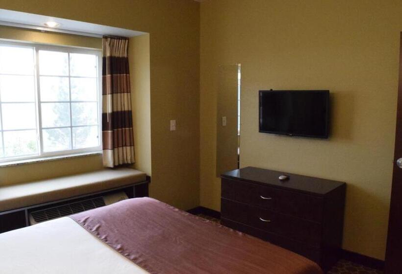 适合残疾人士使用的套间, Microtel Inn And Suites Pecos