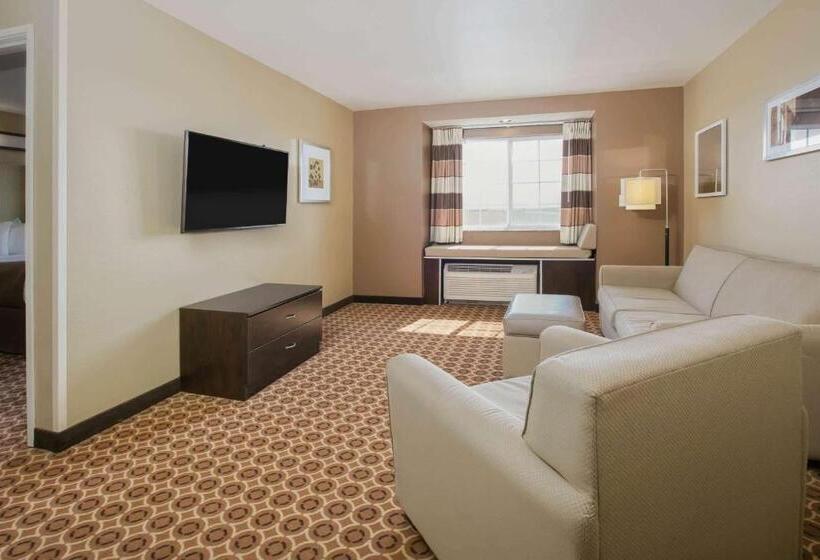 Люкс Адаптированный для Инвалидов, Microtel Inn And Suites Pecos