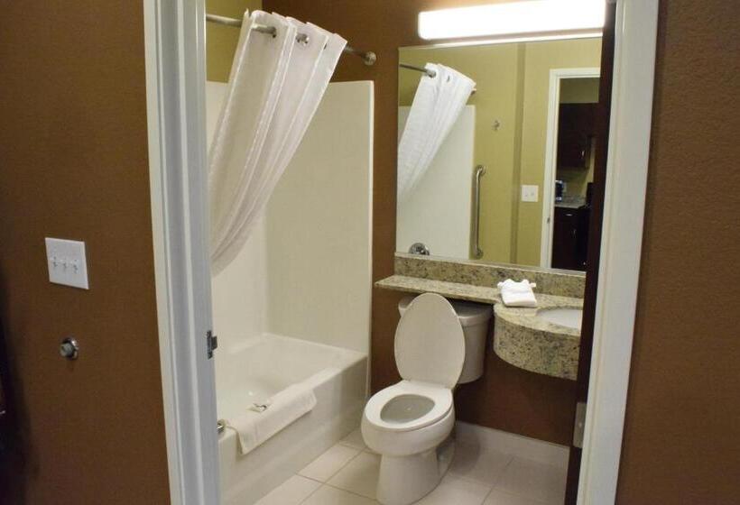 标准间, Microtel Inn And Suites Pecos