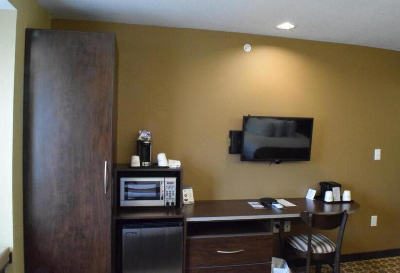 标准间, Microtel Inn And Suites Pecos