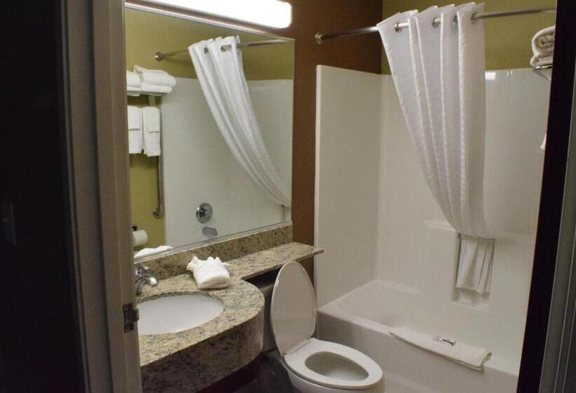 标准间, Microtel Inn And Suites Pecos