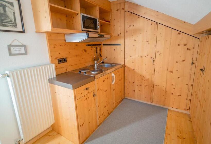 Студио Стандарт с Балконом, Gästehaus Leirerhäusl