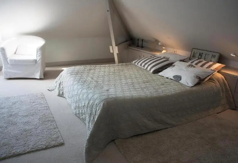シングルデラックスルーム, Villa Flore Chambres D Hotes
