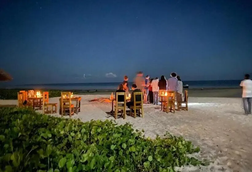オーシャンビューデラックスルーム, Maisara Mafia Beach Lodge