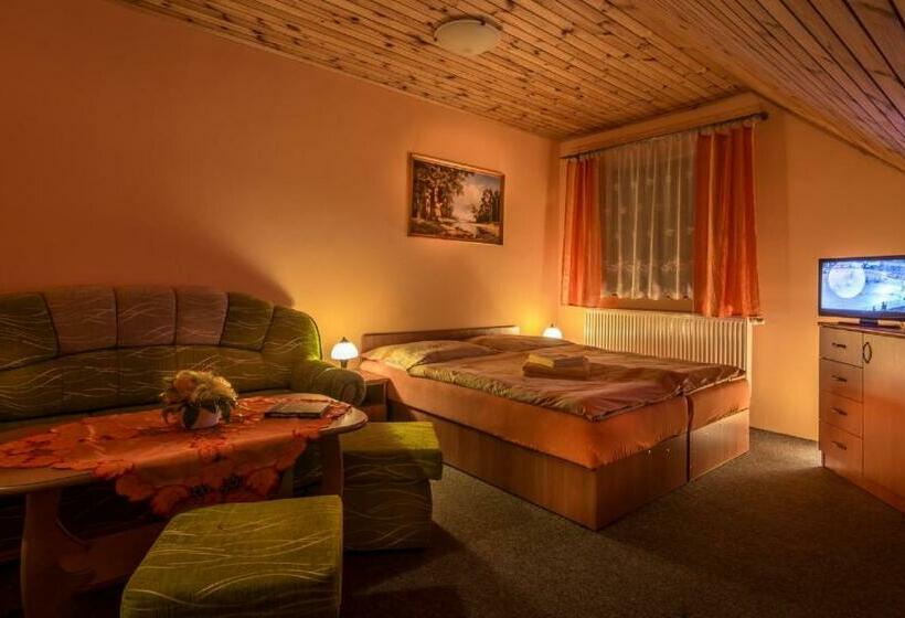 اتاق استاندارد, Penzion Palusak