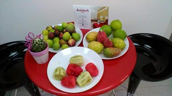 标准间, Arenaria B&b