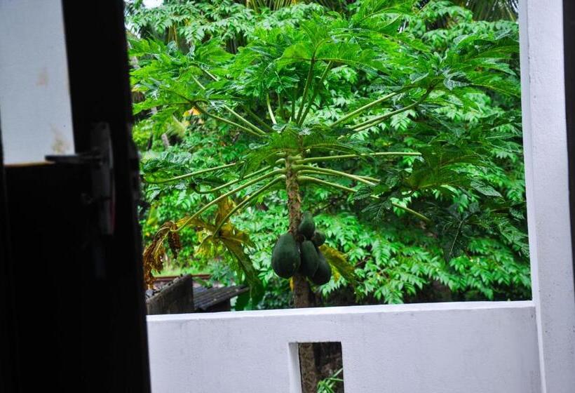 Habitación Estándar con Balcón, Gem Light Guest House