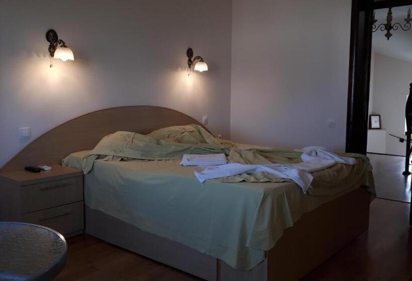 חדר דלוקס עם מרפסת, Vila Livia