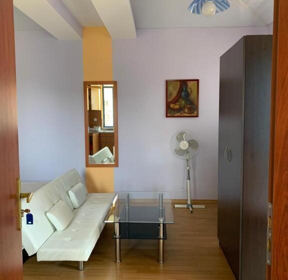 إستوديو قياسى مطل على البحر, Guest House “olesya”