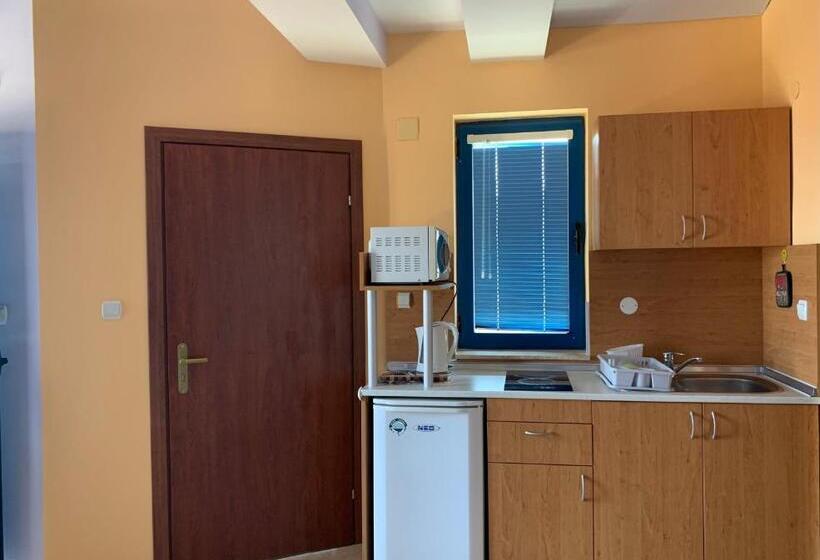 סטודיו סטנדרטי נוף לים, Guest House “olesya”