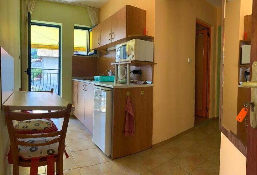 Студия Стандарт, Guest House “olesya”