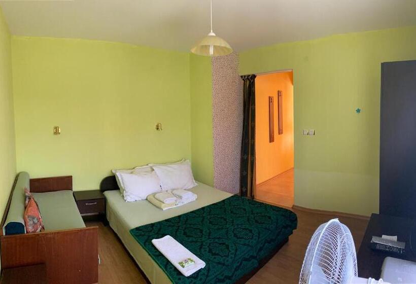 إستوديو قياسى, Guest House “olesya”