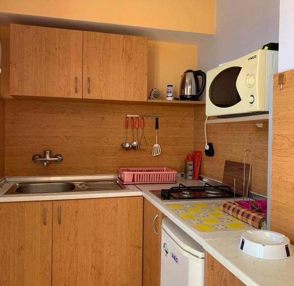 غرفة عائلية مطلّة علي البحر, Guest House “olesya”