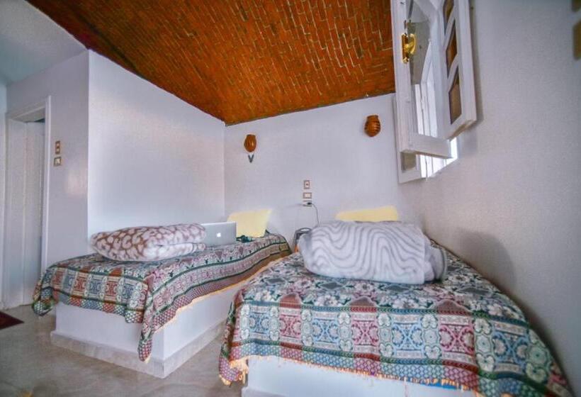 اتاق استاندارد با چشم‌انداز دریا, Kafana Guest House Nile View