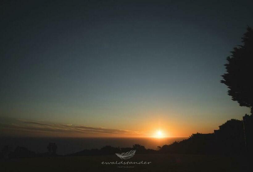 스탠다드 룸 킹사이즈 침대, Misty Mountain Reserve