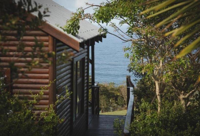 オーシャンビュースーペリアールーム, Misty Mountain Reserve