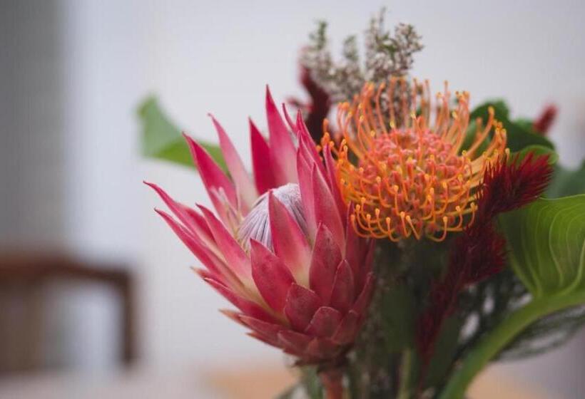 オーシャンビュースーペリアールーム, Misty Mountain Reserve