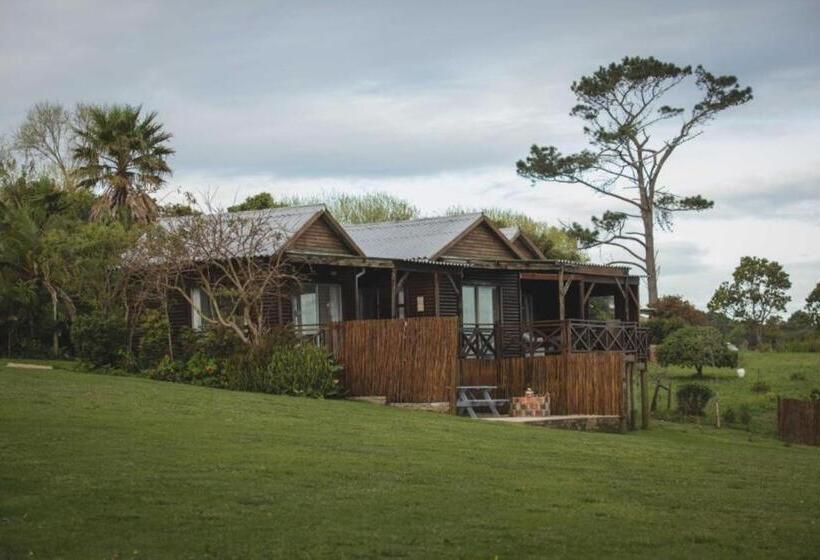 オーシャンビュースタンダードルームバルコニー付き, Misty Mountain Reserve