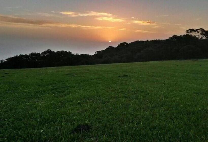 オーシャンビュースタンダードルームバルコニー付き, Misty Mountain Reserve