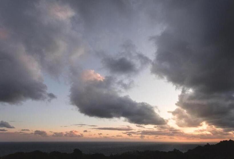 オーシャンビューデラックスルームバルコニー付き, Misty Mountain Reserve