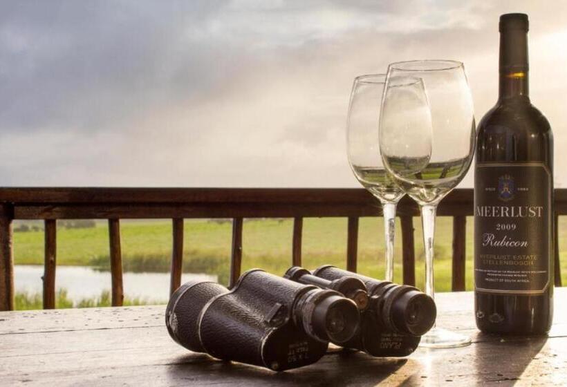 Deluxe Tent, Misty Mountain Reserve