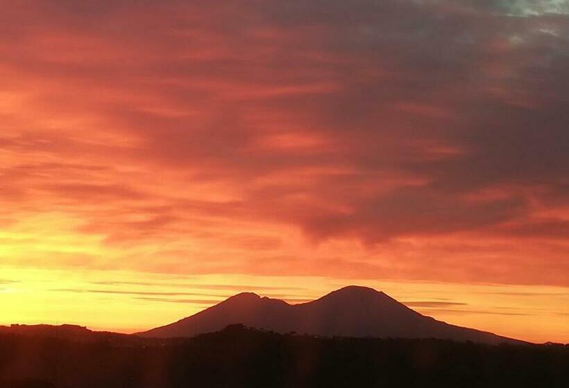 חדר סטנדרט לארבעה, Camera Sofia B&b