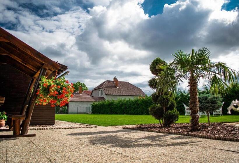 חדר סטנדרט, Mónika Vendégház