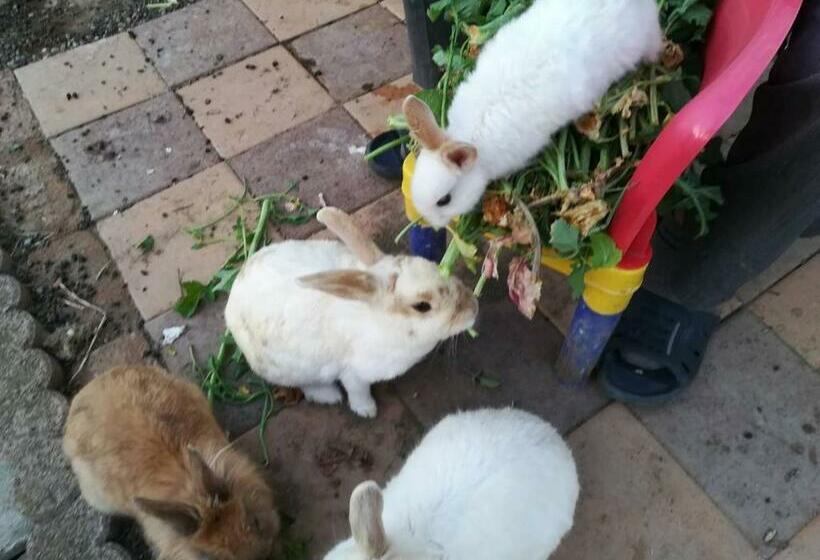 침실 1개 주택, Kōnotori No Sato No Yado   Vacation Stay 11112