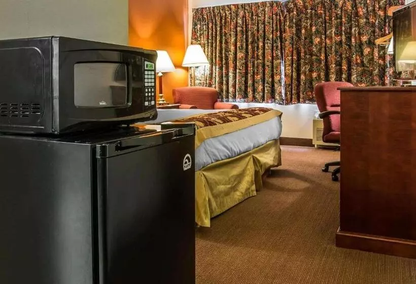 キングサイズベッドのスタンダードルーム, Rodeway Inn