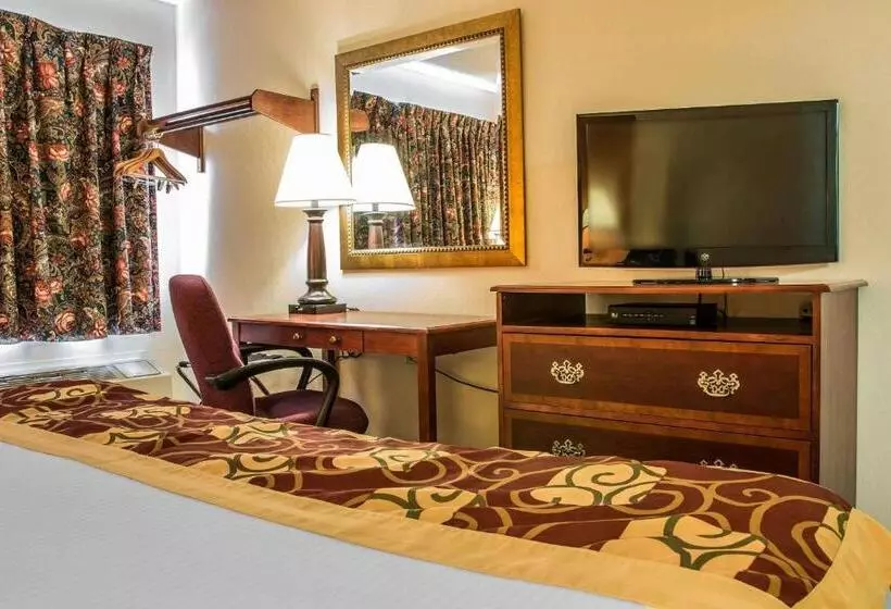 キングサイズベッドのスタンダードルーム, Rodeway Inn