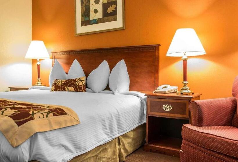 Стандартный Номер Кровать Кинг, Rodeway Inn