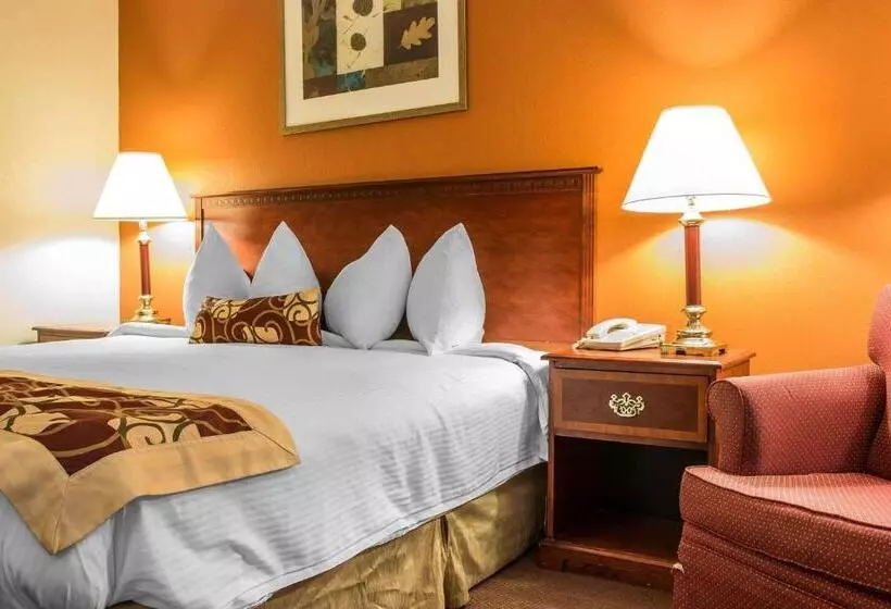 キングサイズベッドのスタンダードルーム, Rodeway Inn