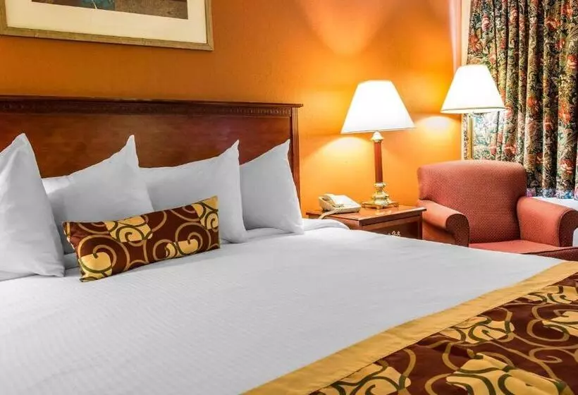 キングサイズベッドのスタンダードルーム, Rodeway Inn