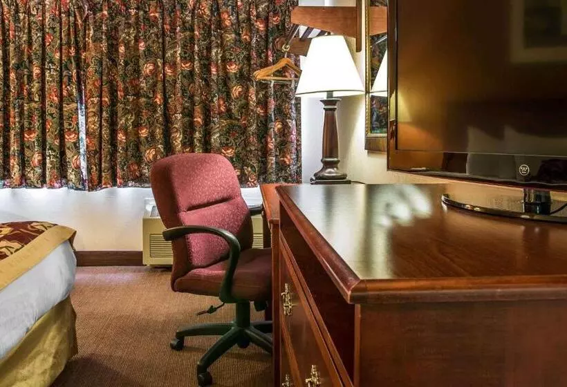 キングサイズベッドのスタンダードルーム, Rodeway Inn