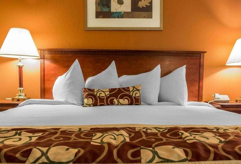 غرفة قياسية سرير كينج, Rodeway Inn