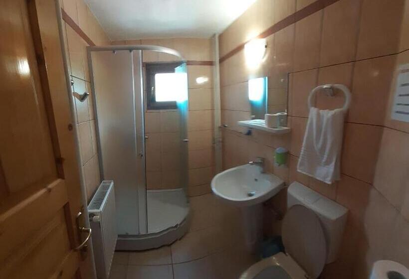 带1个卧室的公寓, Pensiunea Maria