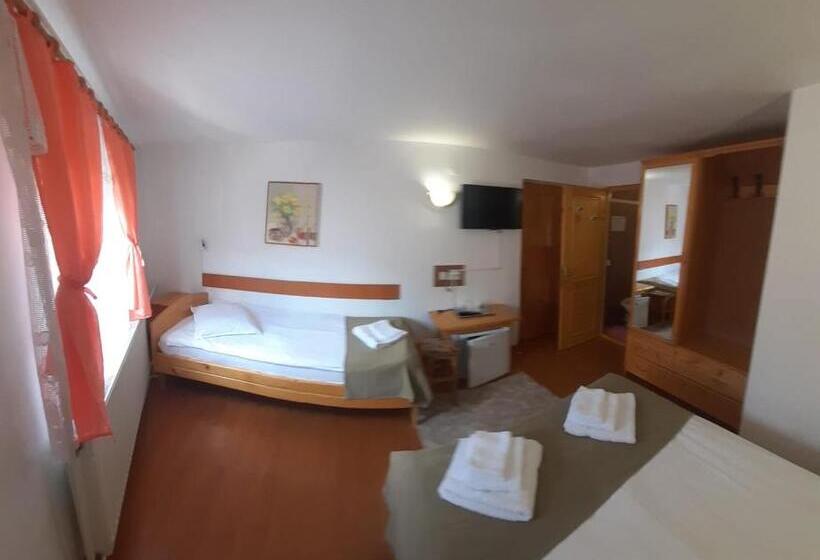 标准间, Pensiunea Maria