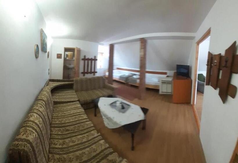 家庭工作室, Pensiunea Maria